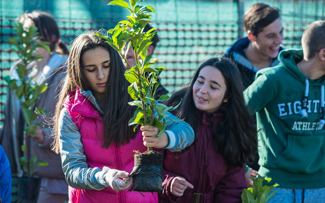 AKCIJE SADNJE / PLANTING ACTIONS