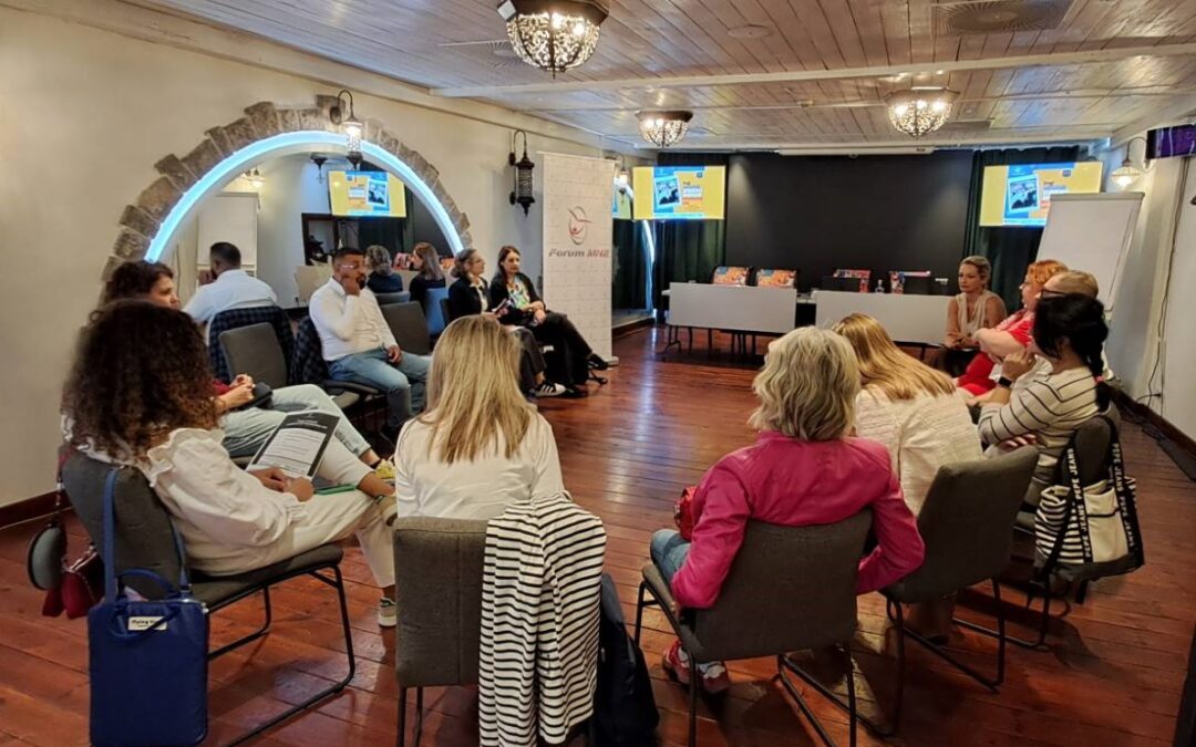 Youth Work in Focus: The Need to Establish an Association of Youth Work Practitioners in Montenegro